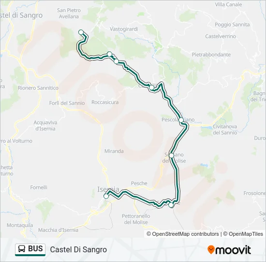 BUS Line Map