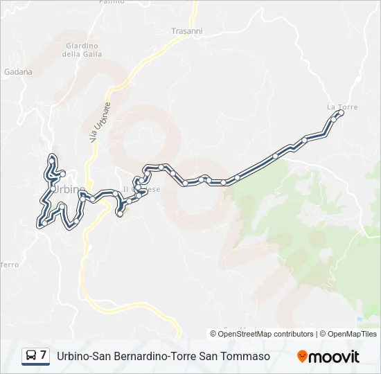 7 Bus Line Map