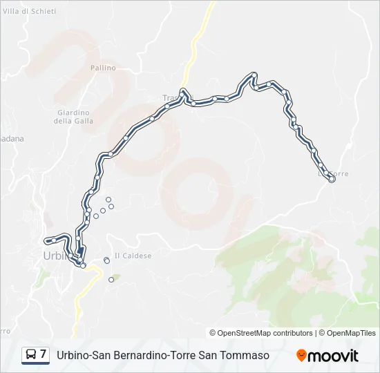 7 Bus Line Map