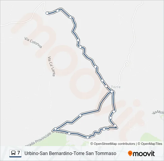 7 Bus Line Map
