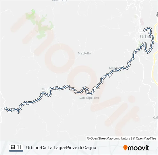 11 Bus Line Map