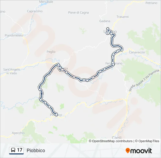17 Bus Line Map
