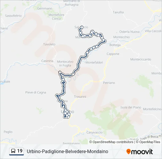 19 Bus Line Map