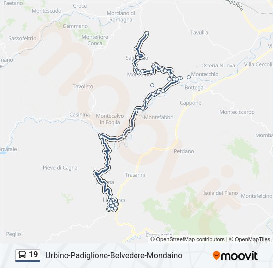 19 Bus Line Map