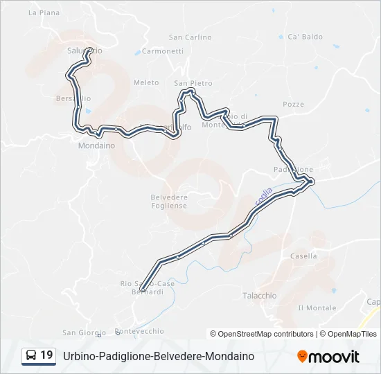 19 Bus Line Map