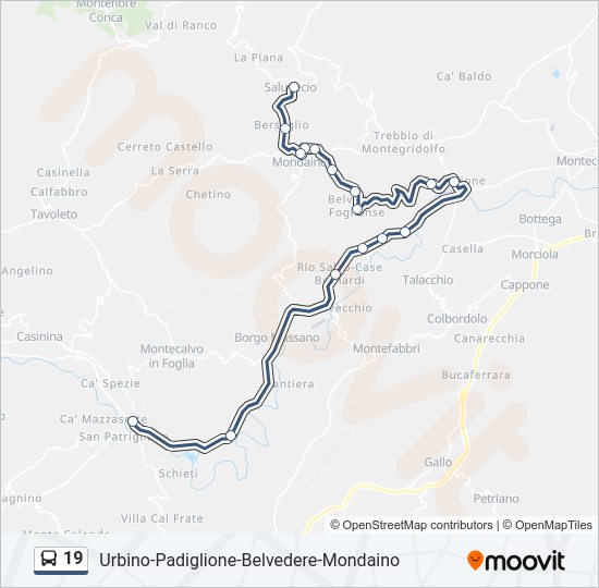 19 bus Line Map