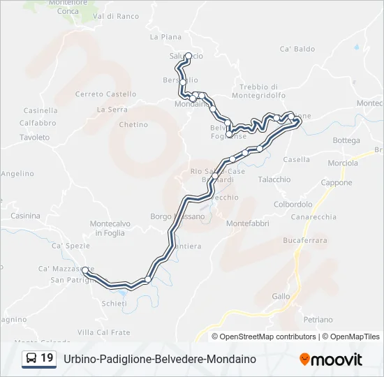 19 Bus Line Map