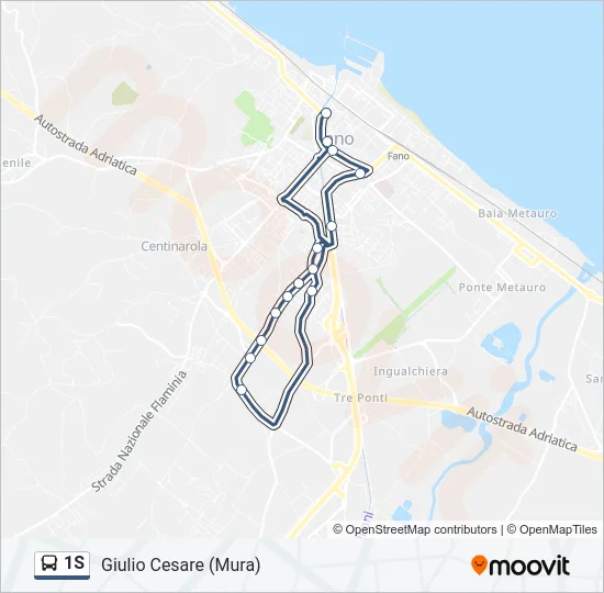 1S Bus Line Map