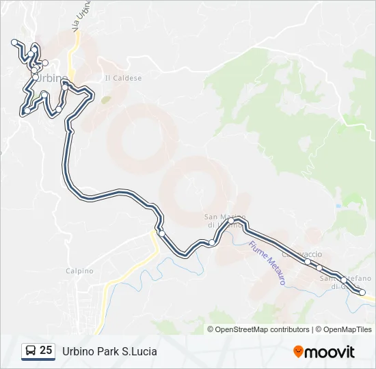 25 Bus Line Map