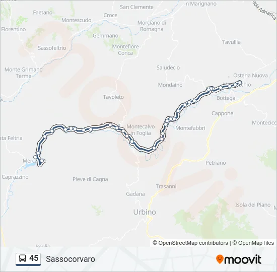 45 Bus Line Map