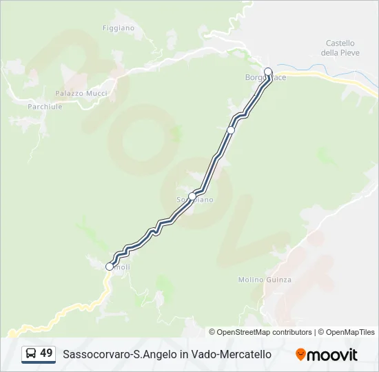 49 Bus Line Map