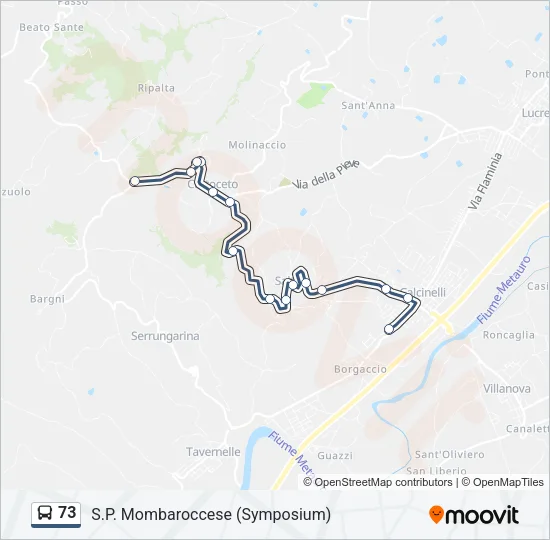 73 Bus Line Map