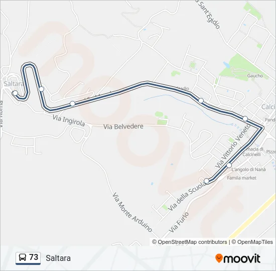 73 Bus Line Map