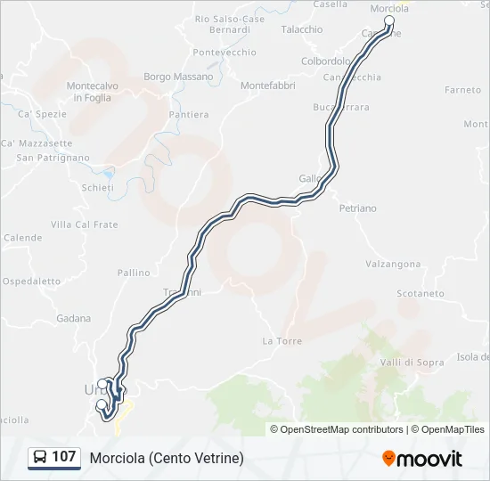 107 Bus Line Map