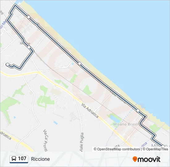 107 Bus Line Map