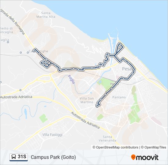 31S bus Line Map