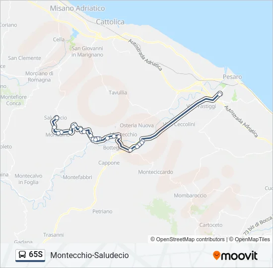 65S Bus Line Map