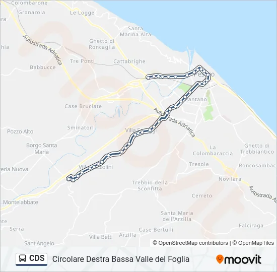 CDS Bus Line Map