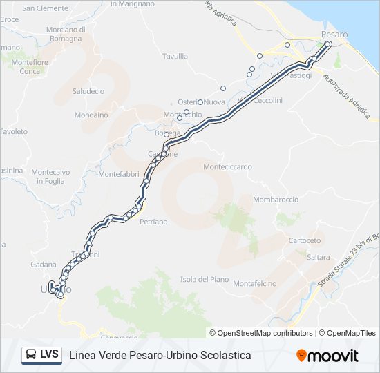 LVS bus Line Map