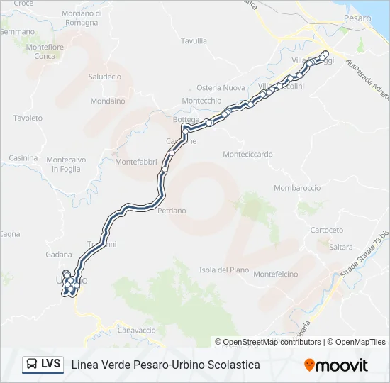 LVS Bus Line Map