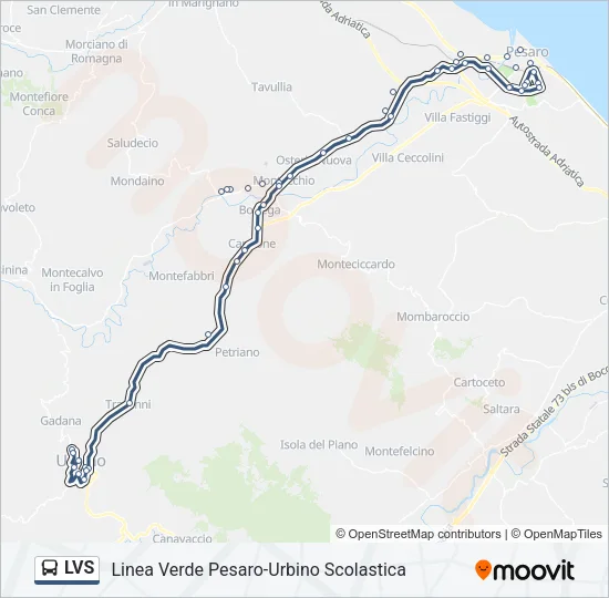 LVS Bus Line Map