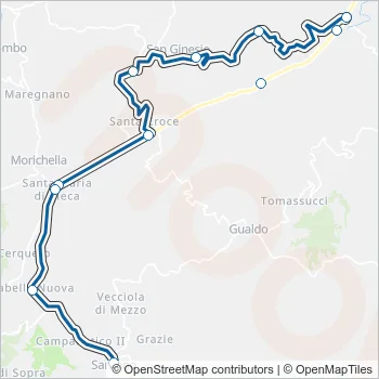 CONTRAM Bus Line Map