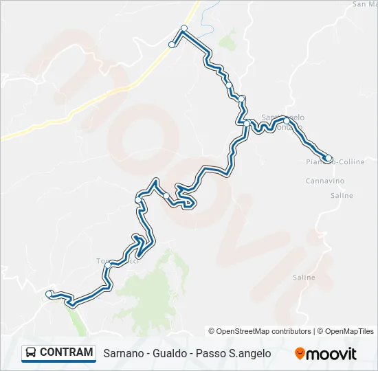 CONTRAM Bus Line Map