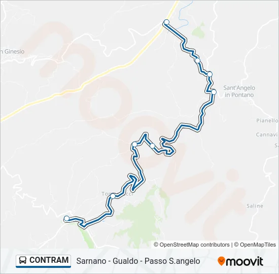 CONTRAM Bus Line Map