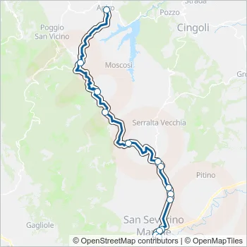 CONTRAM Bus Line Map