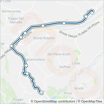 CONTRAM Bus Line Map
