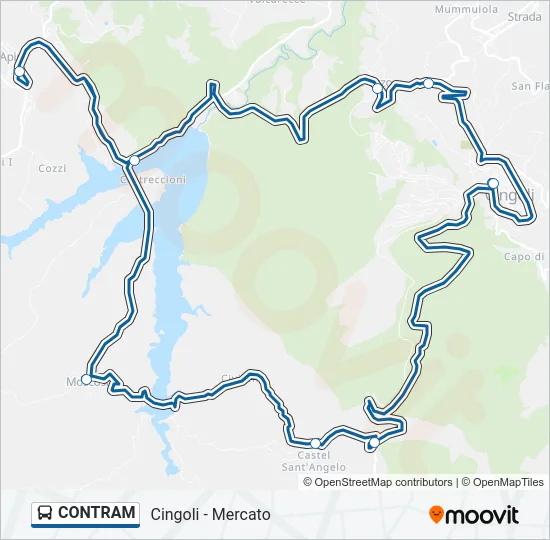 CONTRAM Bus Line Map