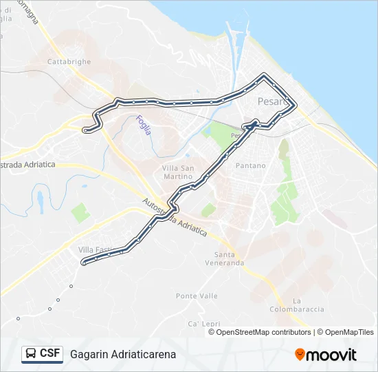 CSF Bus Line Map