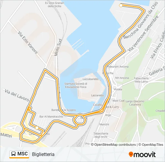 MSC Bus Line Map