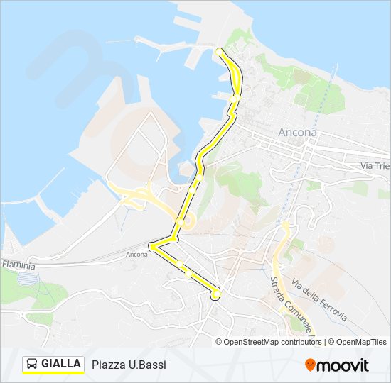 Percorso linea bus GIALLA