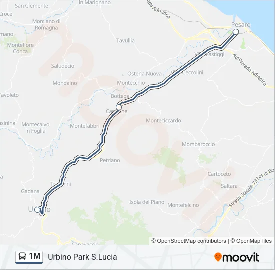 1M Bus Line Map