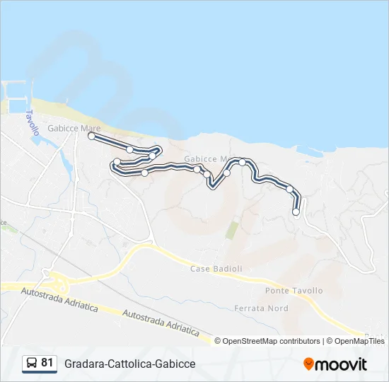 81 Bus Line Map
