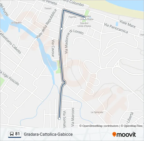 81 Bus Line Map