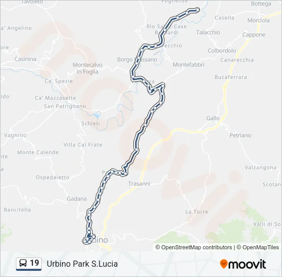19 Bus Line Map