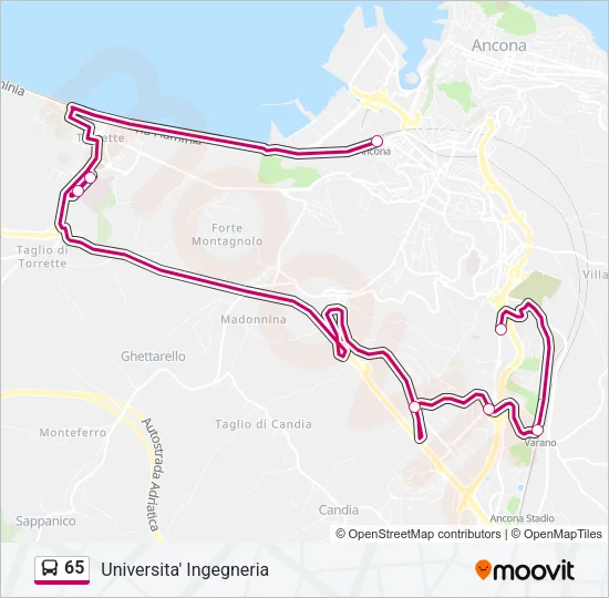 65 Bus Line Map