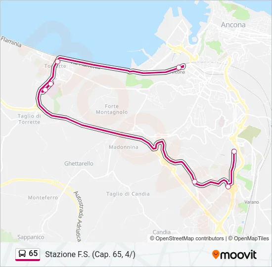 65 Bus Line Map