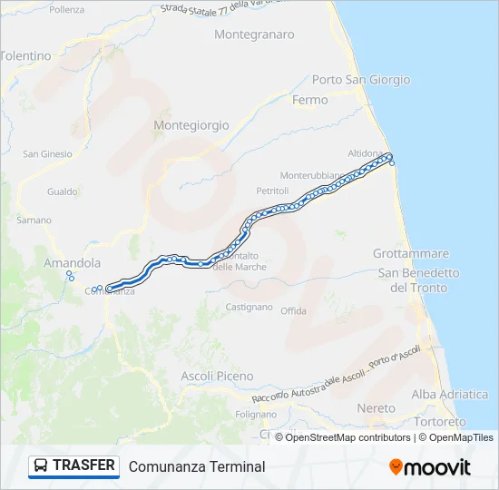 TRASFER Bus Line Map