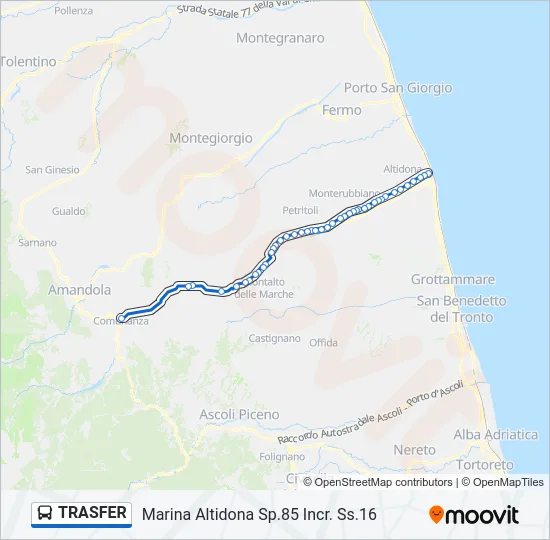 TRASFER Bus Line Map