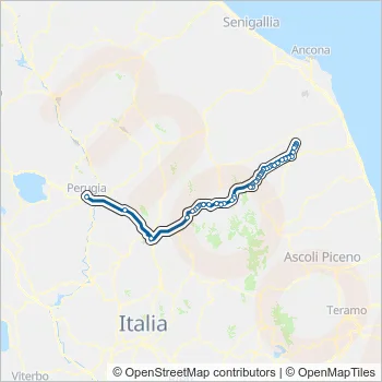 CONTRAM Bus Line Map