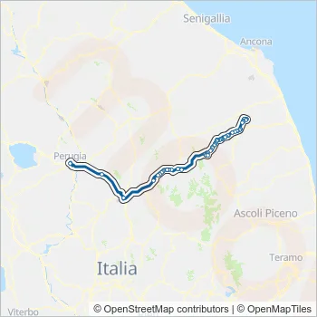 CONTRAM Bus Line Map