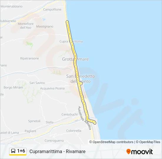 1+6 Bus Line Map