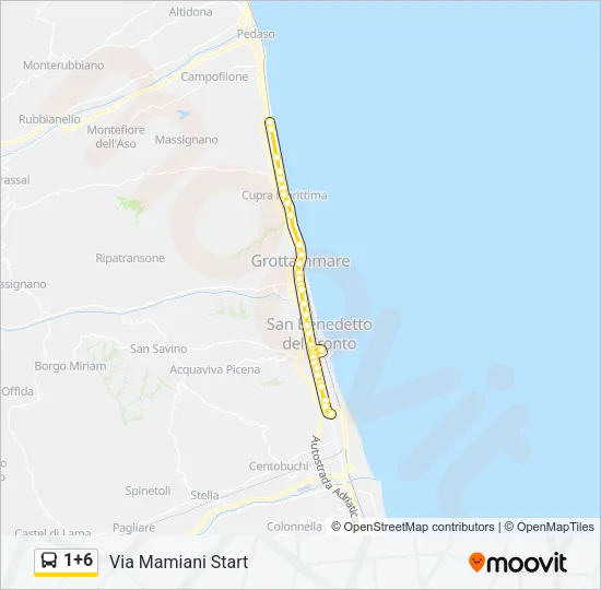 1+6 Bus Line Map