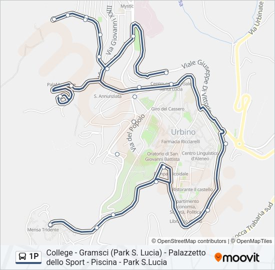 1P Bus Line Map