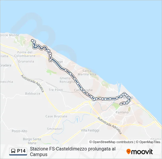 Percorso linea bus P14