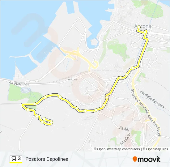 3 Bus Line Map