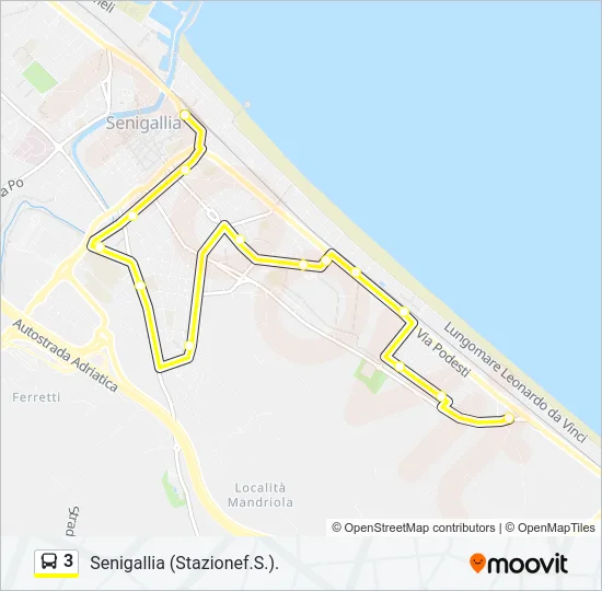 3 Bus Line Map